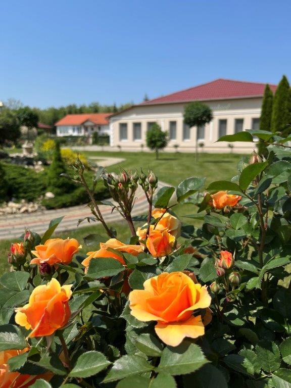 Rózsakert vendéglő családi rendezvények kellemes környezetben