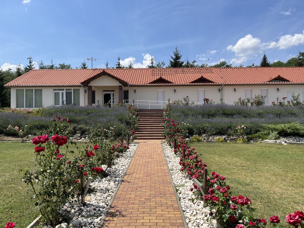 Vendégház, Wellness